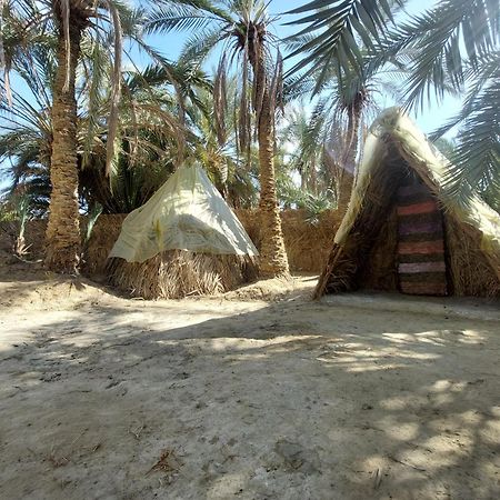 Forest Camp Siwa - كامب الغابة Siwa Oasis 外观 照片
