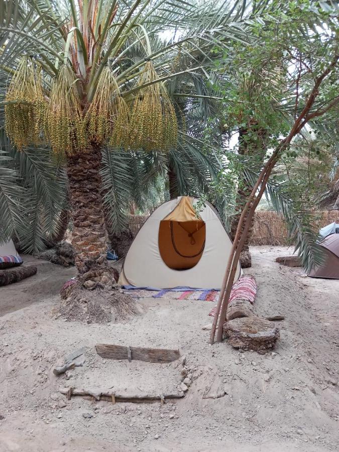 Forest Camp Siwa - كامب الغابة Siwa Oasis 外观 照片